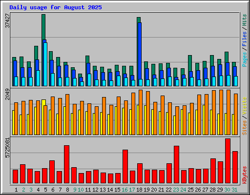 Daily usage for August 2025
