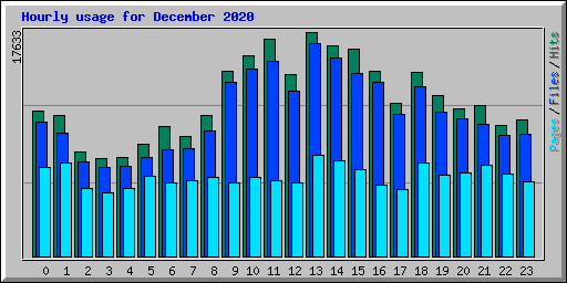 Hourly usage for December 2020
