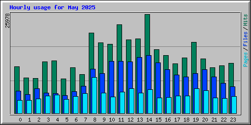 Hourly usage for May 2025