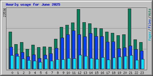 Hourly usage for June 2025