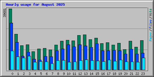 Hourly usage for August 2025