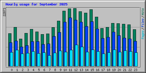 Hourly usage for September 2025
