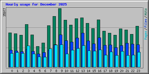Hourly usage for December 2025