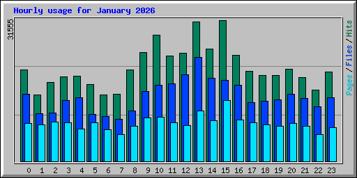 Hourly usage for January 2026